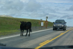 Open range above 9000 feet!