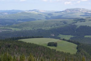 A view from the road hiking to the Medicine Wheel.