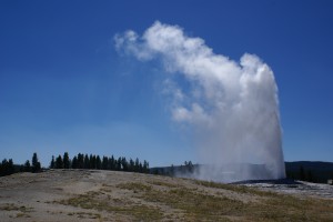 The Old Faithful geyser in action.