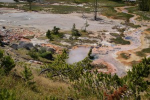 Artists Paintpots from above.