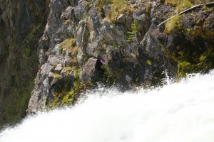 At the brink of the Upper Falls.