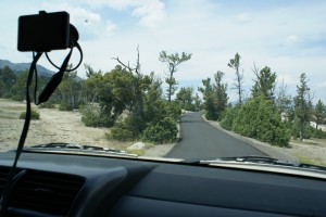 Upper Terrace Drive, Mammoth Hot Springs.