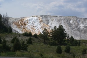 Travertine in the Upper Terraces area. The travertine is white; the color comes from living organisms.