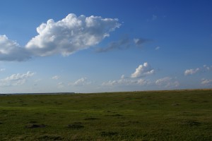 A prairie dog town in TRNP.