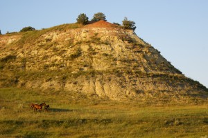 Wild horses in a wild setting.