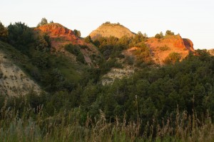 TRNP In the fading light of evening.