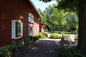 The tasting room and patio looking towards their house.