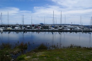 The St. Ignace public marina.