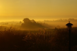 Sunrise at Acres of Land near Richmond, KY