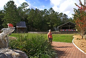 Linda with the Christmas dolphin near the swimming pool.