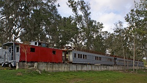 Three train cars and a caboose.