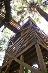 Entrance tower to canopy skywalk suspension bridge.