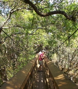 Linda on the skywalk.  It is 85 feet between the support/access towers.