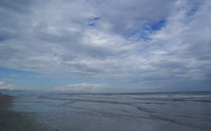 Looking north from North Beach at Little Talbot Island SP (FL).