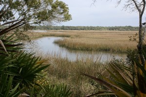 The marsh at the end of the Big Pine Trail, BTISP (FL).