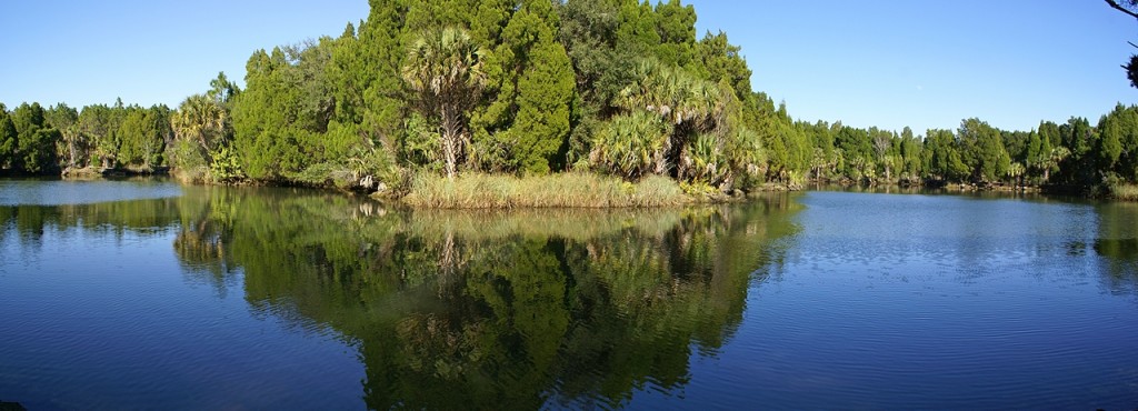 Crystal River Buffer Preserve SP (FL).