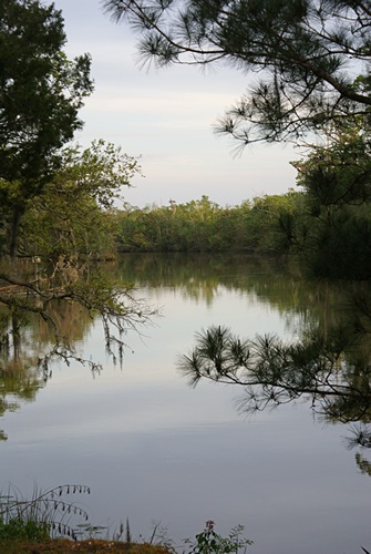The Choctawhatchee River from Live Oak Landing RV park.
