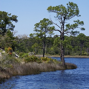 Powell Lake at Grayton Beach SP, FL.