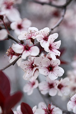 There were signs of spring at the fairgrounds.