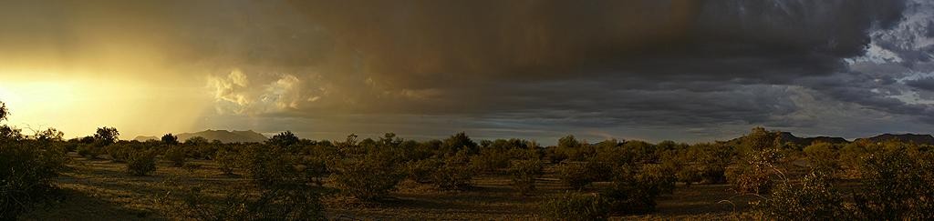 Panorama of a desert thunderstorm at sunset near Why, AZ.