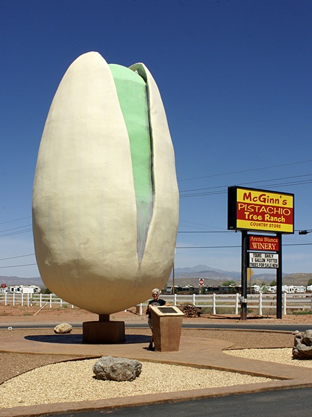 Linda poses with the world's largest pistachio. Note the wind-blown hair.