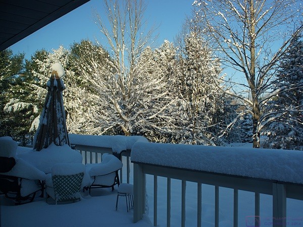 The view of our rear deck from our dining room the morning after our major snowstorm. It’s pretty if you don’t have to go outside to pack a bus or drive in it.