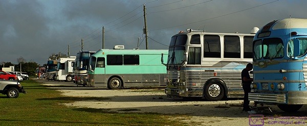 The west-facing row looking north from the south end. The nose of our coach is just visible, 4th from the right. (Arcadia Bus Rally, Arcadia, FL)