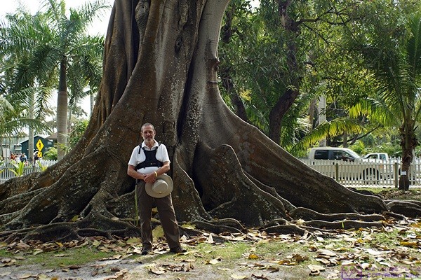 Bruce poses by one of the large trees at the Edison Ford Estates.  Linda used this image for one of the weekly postcards she made and had sent to grand-daughter Madeline.  Fort Myers, FL.
